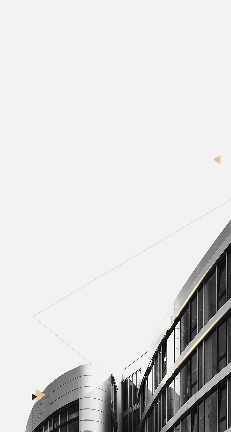 Company Introduction